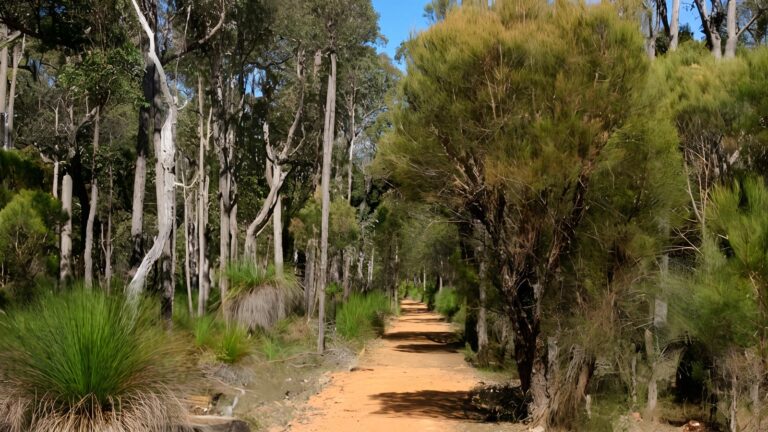 Jarrahdale balmoral trail walk (12km)