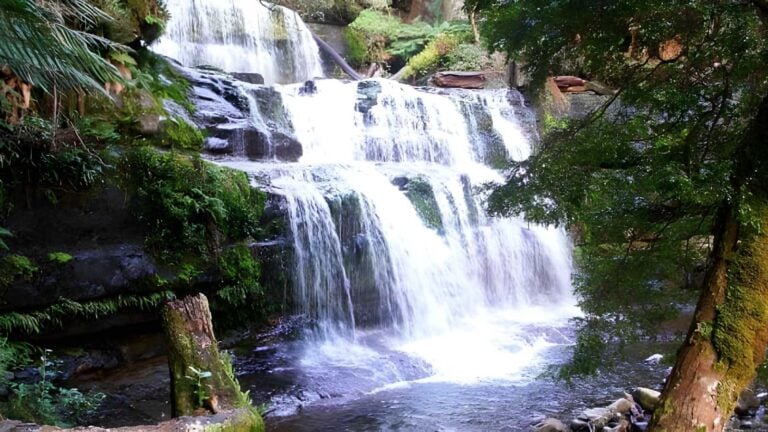 Liffey Falls Rail Trail Walk (5km) Liffey falls rail trail walk (5km)