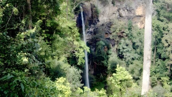 Rawson Falls Walk (5km) Rawson falls walk (5km)