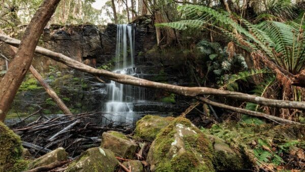 Hikes Camp falls 600x338