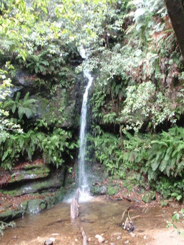Carrington Park to Marguerite Cascades Walk (1.7km) Carrington park to marguerite cascades