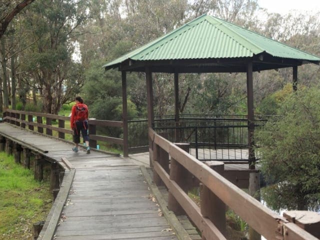 Collie River Walk (10km) Collie river walk