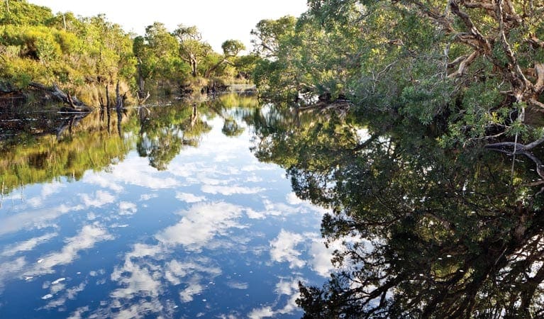 Jerusalem Creek Walk (10.3km) Jerusalem creek walk trail hiking australia