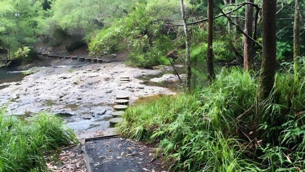 Minyon Falls Walking Track (13km) Minyon falls walking track (13km)
