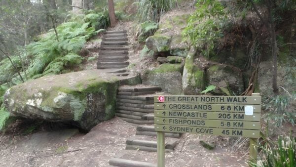 Thornleigh to Galston Gorge Hike (15.5km) Thornleigh to galston gorge hike (15. 5km)