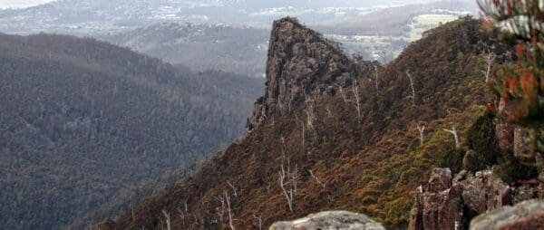 Wellington Falls Hike (12.2km) Cathedral rock track 600x254