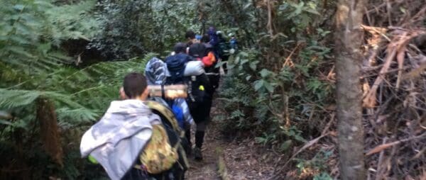 The Wonderland Track (3.5km) Six foot trackhalf trail hiking australia 600x254