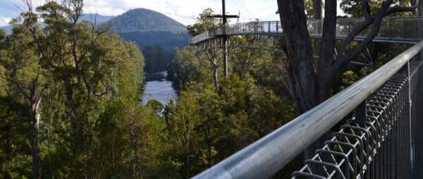 Tahune airwalk trail hiking australia 600x254