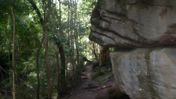 Eastwood to Hornsby Hike (20.6km) Eastwood to hornsby hike (20. 6km)