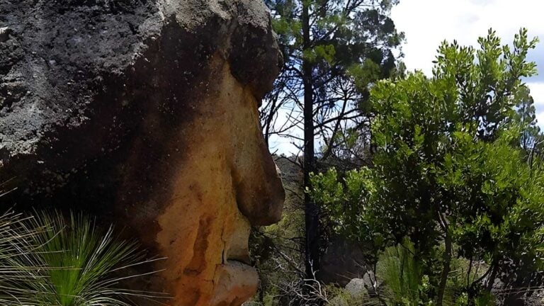 Mystery face walking track (2. 6km)