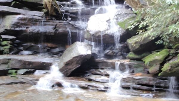 Somersby & mooney mooney creek loop hike (20km)