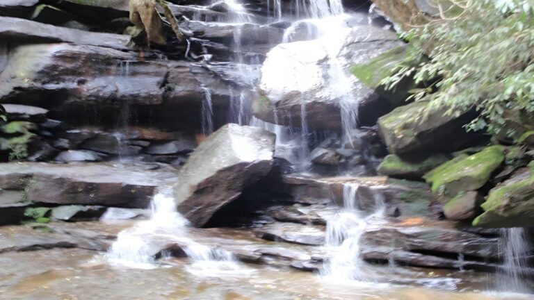 Somersby & mooney mooney creek loop hike (20km)