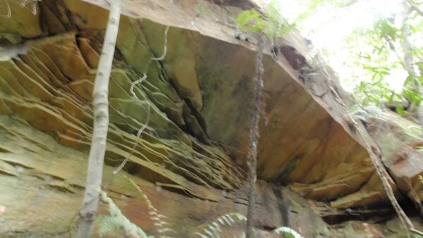 Strickland falls walk (1. 7km)