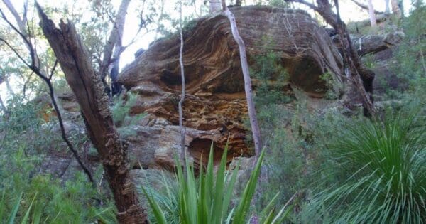 11km circuit northern lookout 600x315