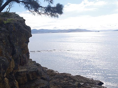Blowhole track