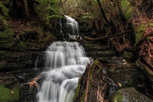 Hikes Myrtle gully falls 600x400