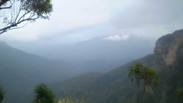 Lyrebird Lookout Loop Walk (1km) Lyrebird lookout loop walk (1km)