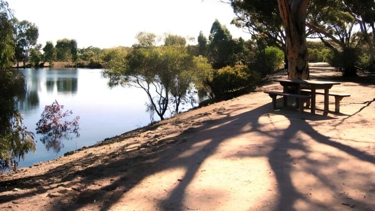 Merredin peak walk (2. 4km)