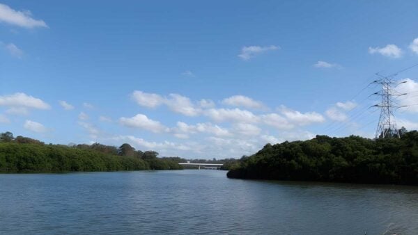 Padstow to the Pipe Bridge Picnic Area Walk (4.3km) Padstow to the pipe bridge picnic area walk (4. 3km)