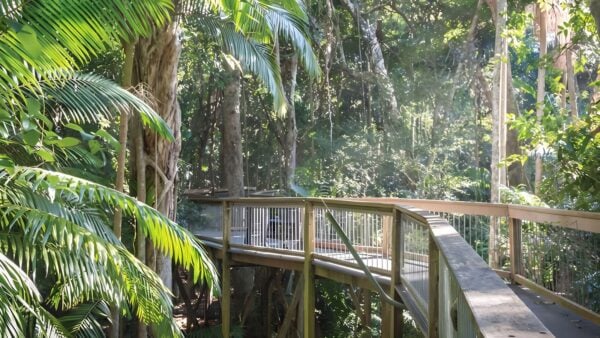Sea acres rainforest boardwalk (1. 3km)