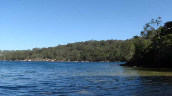 Seaforth Oval to Roseville Bridge - Bantry Bay Hike (10km) Seaforth oval to roseville bridge - bantry bay hike (10km)
