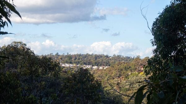 Springwood to Blaxland Station Hike (13.5km) Springwood to blaxland station hike (13. 5km)