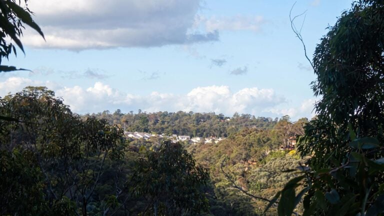Springwood to blaxland station hike (13. 5km)