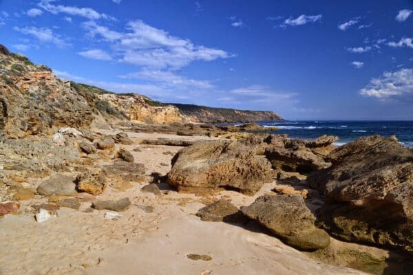 Hikes Trail hiking bushrangers bay and gunnamatta 15 7km 600x400