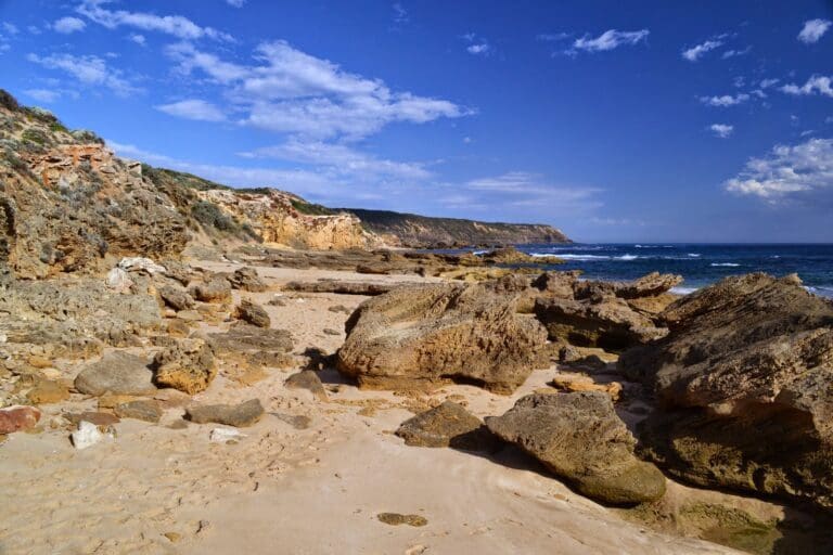 Bushrangers Bay & Gunnamatta Hike (16km) Trail hiking bushrangers bay and gunnamatta 15 7km 768x512