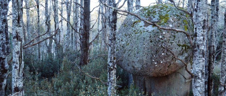 Trail hiking mushroom rocks 4 25km