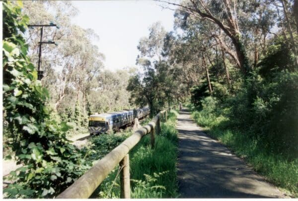 Belgrave railway trail 600x406