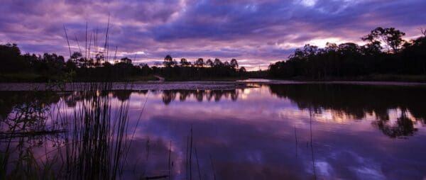 Billabong outlook circuit berrinba wetlands 600x254