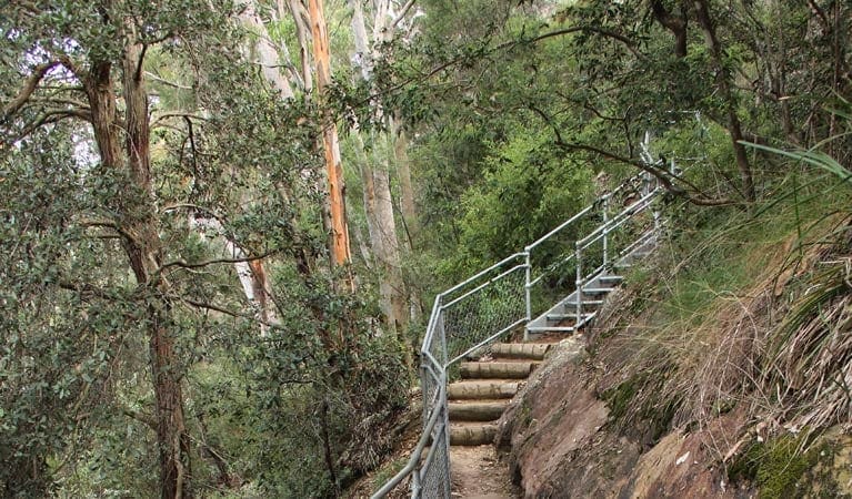 Caleys Lookout Track Walk (1.2km) Caleys lookout track trail hiking australia