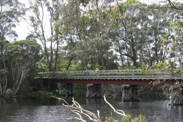 Ancient Empire Walk (450m) Denmark to nornalup rail trail 600x400