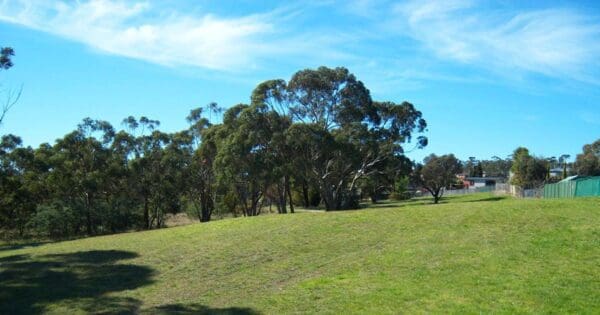 North South Track (11m) Jim bacon recreation walk 600x315