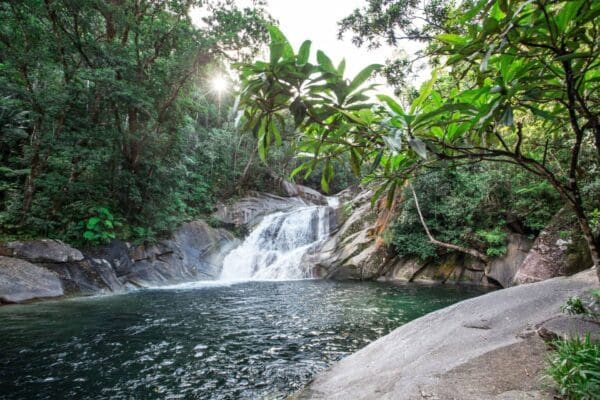 Bicton Hill Circuit Track (4km) Josephine falls walking track 600x400