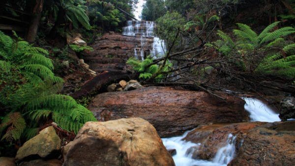 Sensation Gorge Falls Walk (500 m) Westmoreland falls 600x338