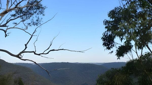 Barnetts lookout walk (400m)
