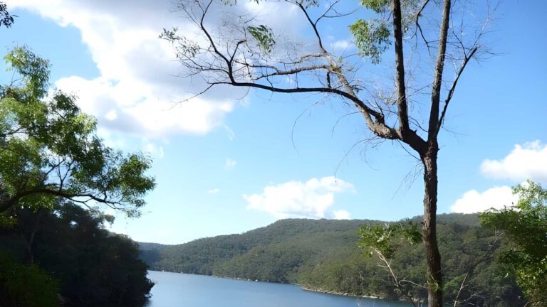 Berowra to Bobbin Head Hike (8.7km) Berowra to bobbin head hike (8. 7km)