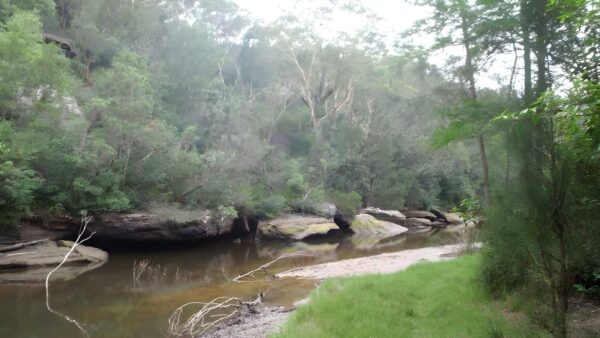 Bungaroo & founders way loop walk (3. 5km)