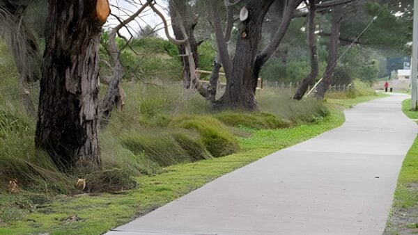 Clarence Foreshore Trail: Bellerive Beach to Howrah Walk (3.1km) Clarence foreshore trail: bellerive beach to howrah walk (3. 1km)
