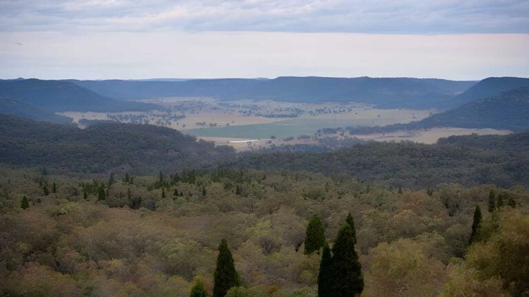 Lees pinch lookout walking track (1km)
