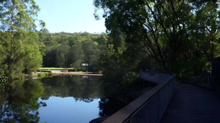 North Ryde Fairyland Circuit Hike (6.9km) North ryde fairyland circuit hike (6. 9km)