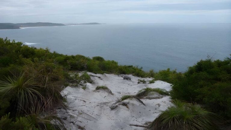 Awabakal Viewpoint Walk (900m) Awabakal viewpoint walk (900m)