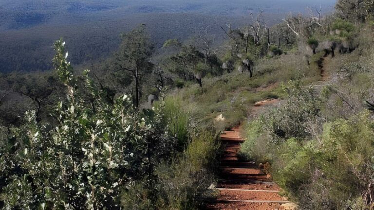 Mount dale circuit walk (2. 5km)