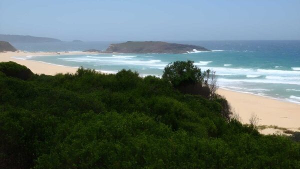 North tura lookout walk (125m)
