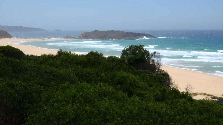 North tura lookout walk (125m)