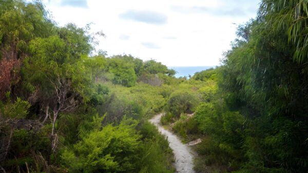 Peak head track (4. 8km)