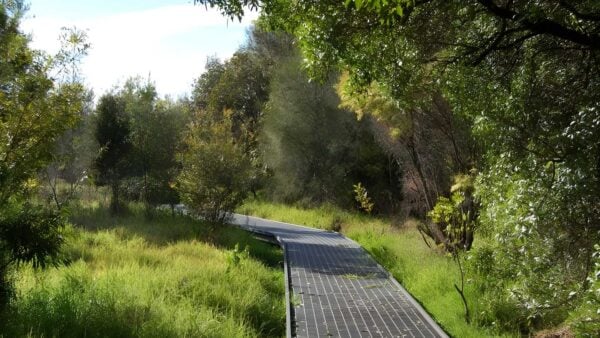 Rainforest Walk to Riverside Park Walk (2km) Rainforest walk to riverside park walk (2km)