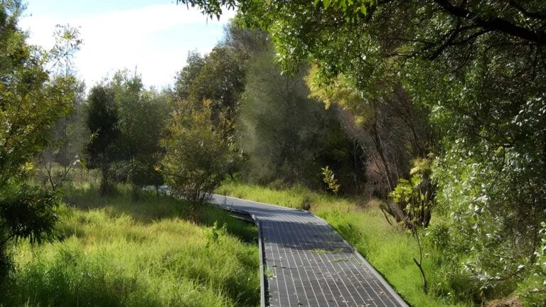 Rainforest Walk to Riverside Park Walk (2km) Rainforest walk to riverside park walk (2km)